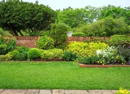 landscaping services Jarales